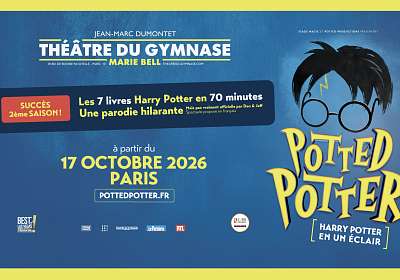 Potted Potter [Harry Potter en un éclair]
